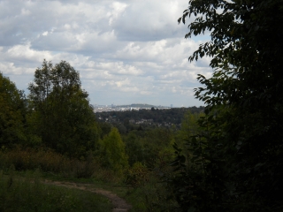 FORET DE MARLY (4)-yvelines