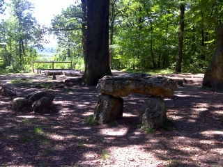 EN FORET DE MEUDON-yvelines