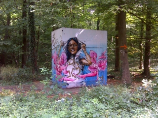 EN FORET DE MEUDON-yvelines