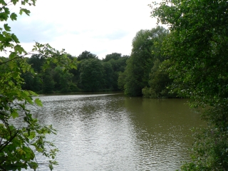 MONTFORT L AMAURY-yvelines