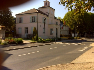 FORET DE FAUSSES REPOSES-yvelines