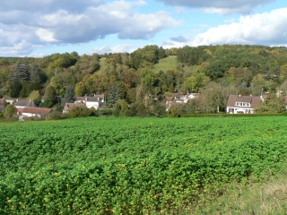 AUTOUR DE JOUY MAUVOISIN-yvelines