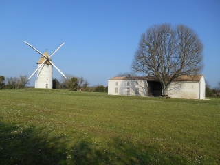 RIMBAULT - FORET DE CHIZE-deux-sevres
