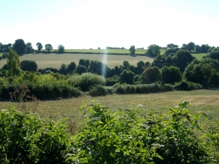 LA CHAPELLE-BATON - CHEMIN DES CHARBONNIERS-deux-sevres