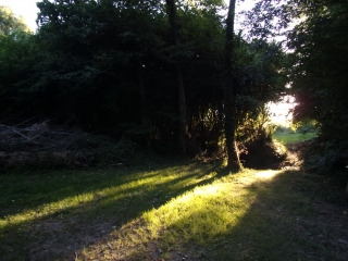 LA CHAPELLE-BATON - CHEMIN DES CHARBONNIERS-deux-sevres