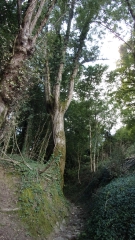 CHERVEUX - LAVOIR DE TROUSSE CHEMISE-deux-sevres