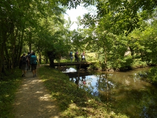 MAGNE - COULON-deux-sevres