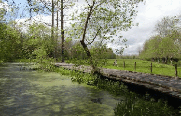 BALADE DES MARAIS - LA GARETTE
