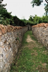 DECOUVERTE DU VIEUX SOUCHE-deux-sevres