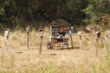 ARGENTONNAY EN BOUCLE-deux-sevres