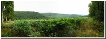 ROCROI ET LA VALLEE DE MISERE-ardenne