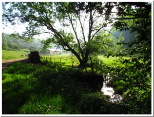 SOURCES EN FORET D ELAN-ardenne