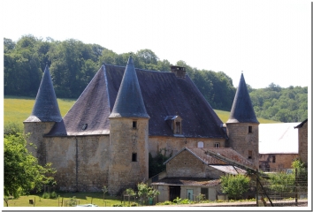 SOURCES EN FORET D ELAN-ardenne