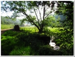 SOURCES EN FORET D ELAN-ardenne