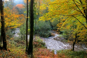 LA VALLEE DU FAUX-ardenne