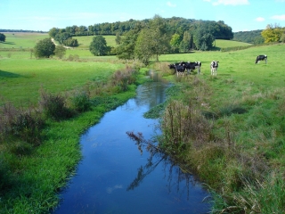LE THIN ET LA VIERGE DE FROIDMONT-ardenne