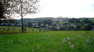 GERNELLE - AU PAYS DES TROIS ROYAUMES-ardenne