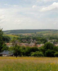 LE BOIS D ENELLE-ardenne
