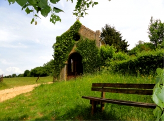LE BOIS D ENELLE-ardenne