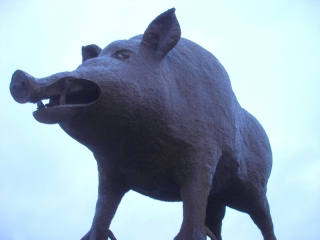 LE RUISSEAU DE LA SAULCES A AUBONCOURT-ardenne