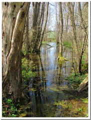 LE MOULIN DE LACHUT-ardenne