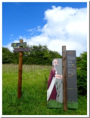 LES ORCHIDEES DE LA COTE DE SAINFOIN-ardenne