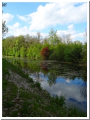 LA PROMENADE DES ISLES ET LE SENTIER NATURE-ardenne