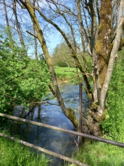 ARDENNES - BOUCLE AUTOUR DE YONCQ-ardenne