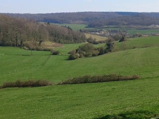 BOUCLE AUTOUR DE MONDIGNY (ARDENNES) EN PASSANT PAR CHAMPIGNEULLE SUR VENCE-ardenne