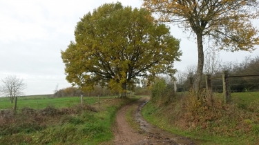 SAINT-MENGES-ardenne