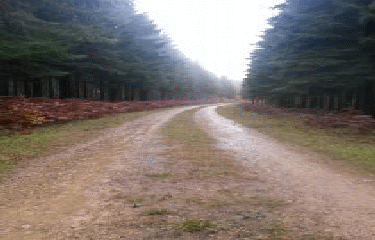 OLLY EN BOUCLE-ardenne