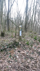 FRENOIS EN BOUCLE  (ARDENNES PRES DE SEDAN)-ardenne