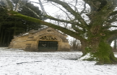 LA CROIX PIOT EN BOUCLE-ardenne