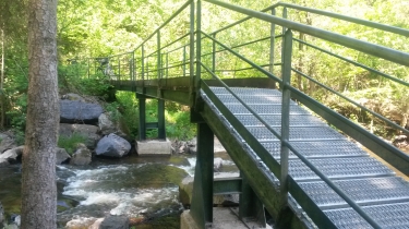 LES VIEILLES FORGES - FORET DU BOIS HUET-ardenne