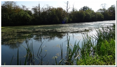 VRIZY ET LE CANAL DE VOUZIERS-ardenne