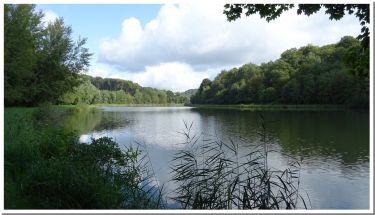 EPERON D OMONT ET JARDINS DE SAM ET HANS-ardenne