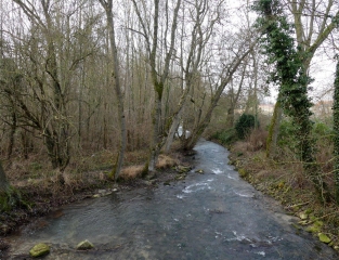 LE MONT DU TAGNON-ardenne