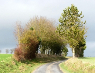 LE LONG DE LA RETOURNE-ardenne