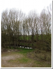 LA GARENNE ET LE RUISSEAU DES PANS-ardenne