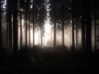 CHARLEVILLE-MEZIERES-ardenne