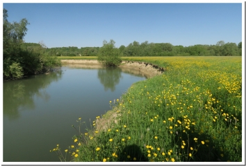 LES PLAINES DE VANDY-ardenne