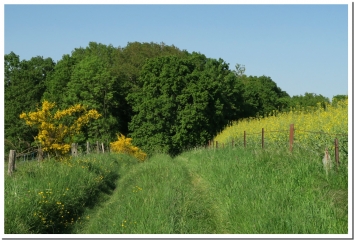 LES PLAINES DE VANDY-ardenne