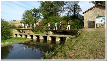 LES OISEAUX DU VIEIL ETANG-ardenne