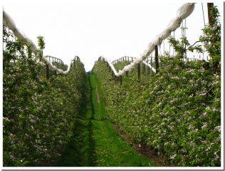 LES VERGERS DU VALLON DE SAINT-LAMBERT-ardenne