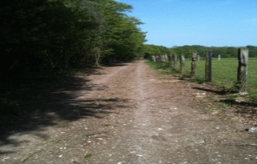 LES MANGEURS DE LENTILLES-somme