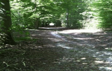 LES MANGEURS DE LENTILLES-somme