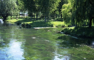 DARGNIES - CIRCUIT DE L ISLE-somme