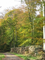 GAMACHES - CIRCUIT DE LA TUILERIE (BALISAGE JAUNE)-somme