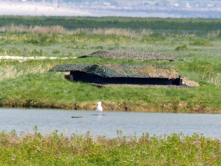 SAINT-VALERY-SUR-SOMME - POINTE HOURDEL-somme