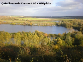 MéRICOURT-SUR-SOMME – LE MARAIS DES VACHES-somme